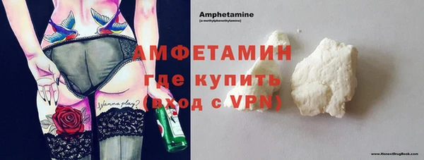 индика Касимов