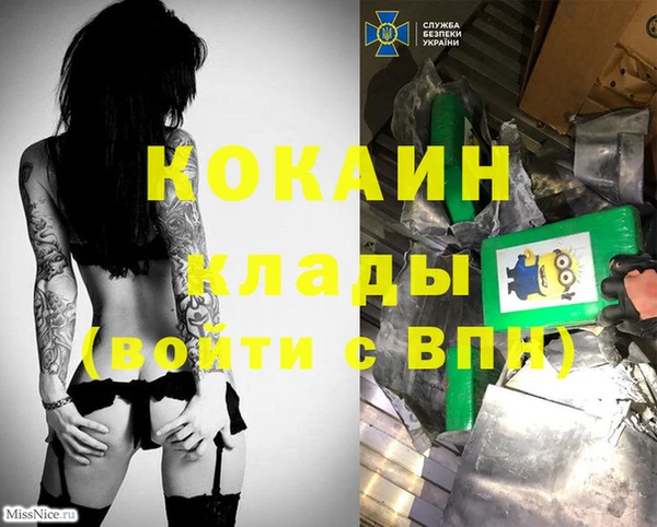 твердый Гусев