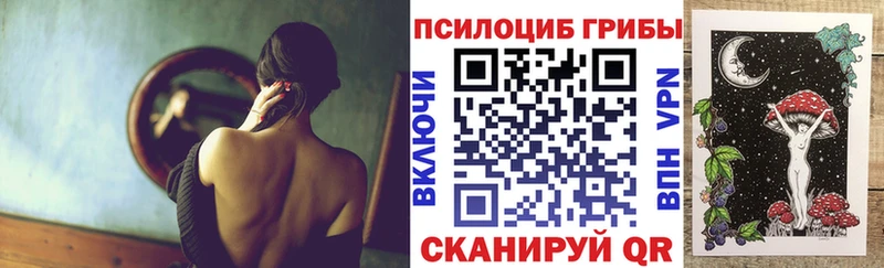 Галлюциногенные грибы Psilocybe  закладки  mega как зайти  Камышлов 