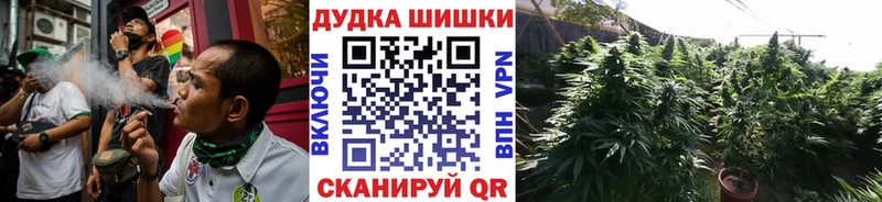 Конопля Ganja  darknet наркотические препараты  Камышлов  дарнет шоп 